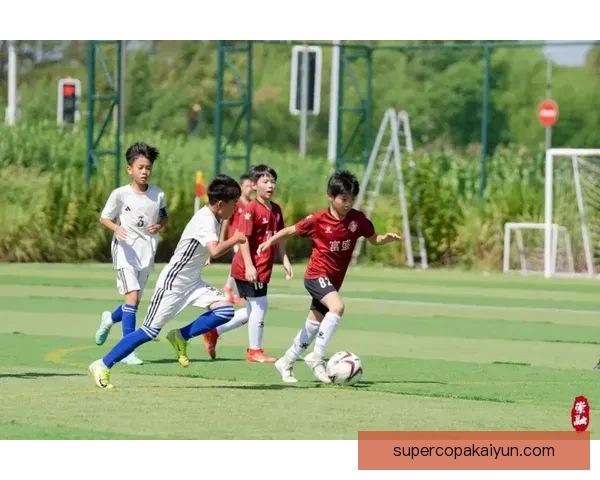 足球小知识：如何提升青少年球员的技术水平与团队协作能力